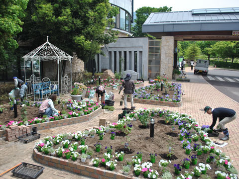 ウェルカムガーデン